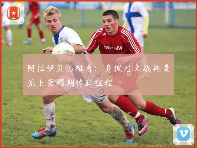 阿拉伊贝戈维奇:身披尤文战袍是无上荣耀期待新征程