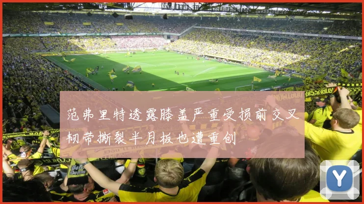 范弗里特透露膝盖严重受损前交叉韧带撕裂半月板也遭重创